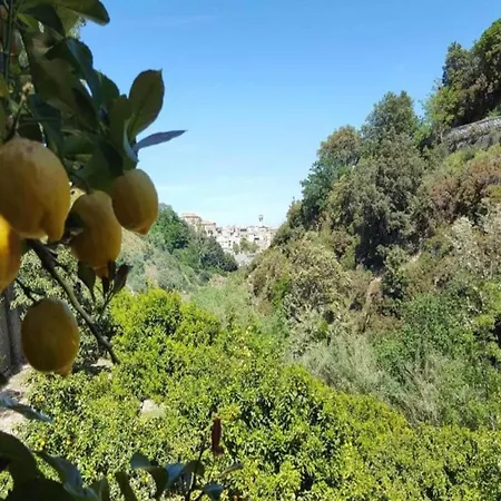Historical In Calabria With Colourful Garden Willa